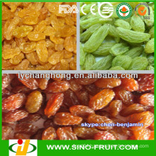 Import dried fruit for Grapes